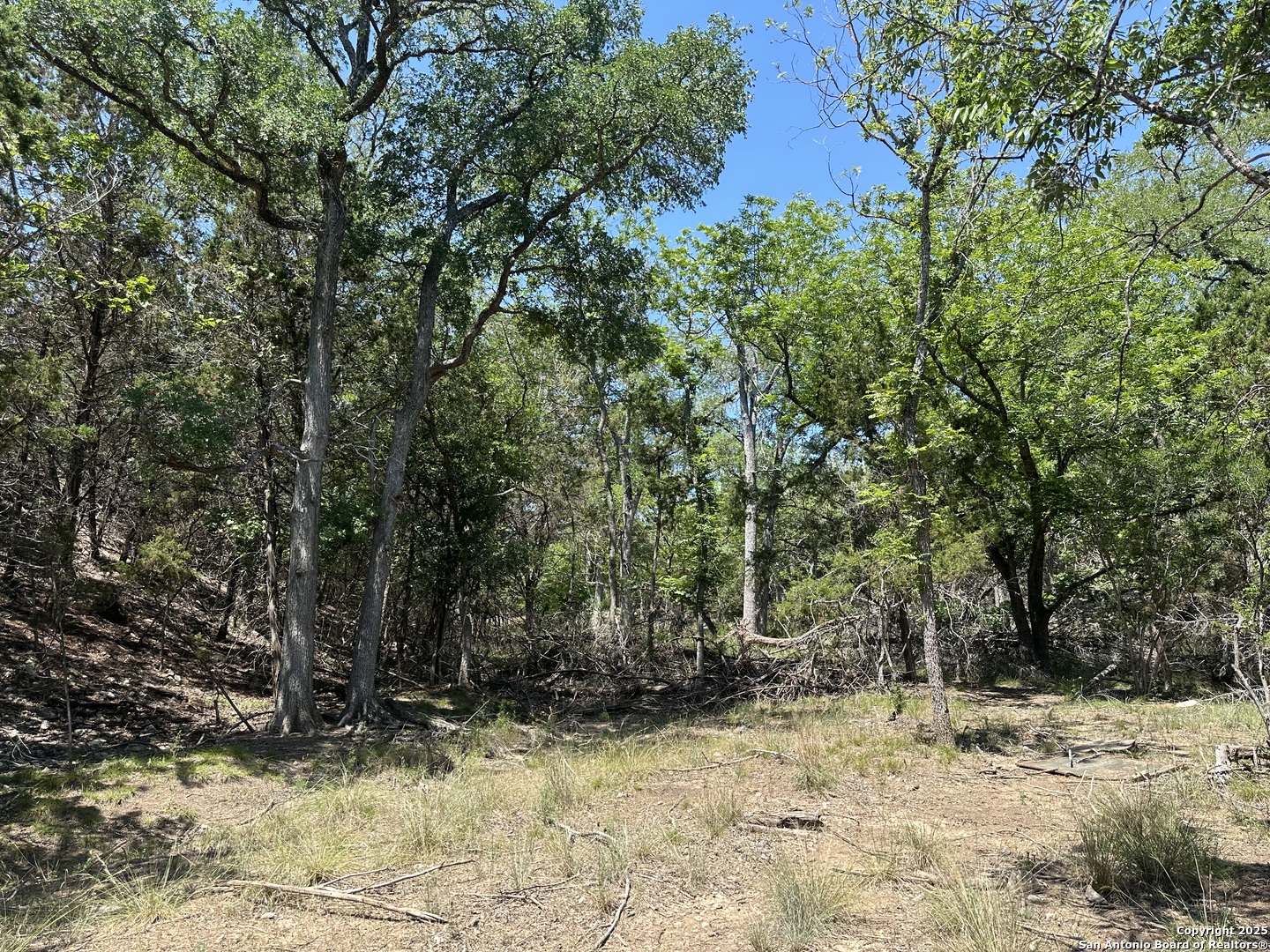106 E Mari-b Drive Center Point TX 78010