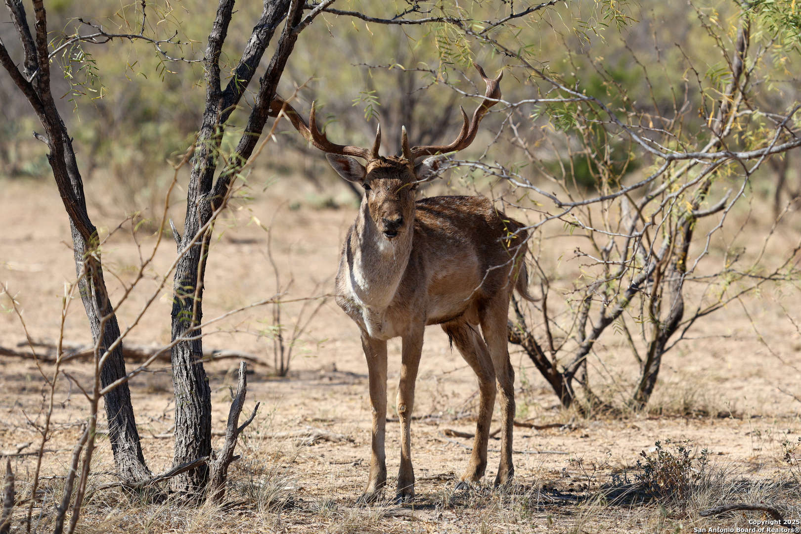 2356 Kc 314 Junction TX 76849