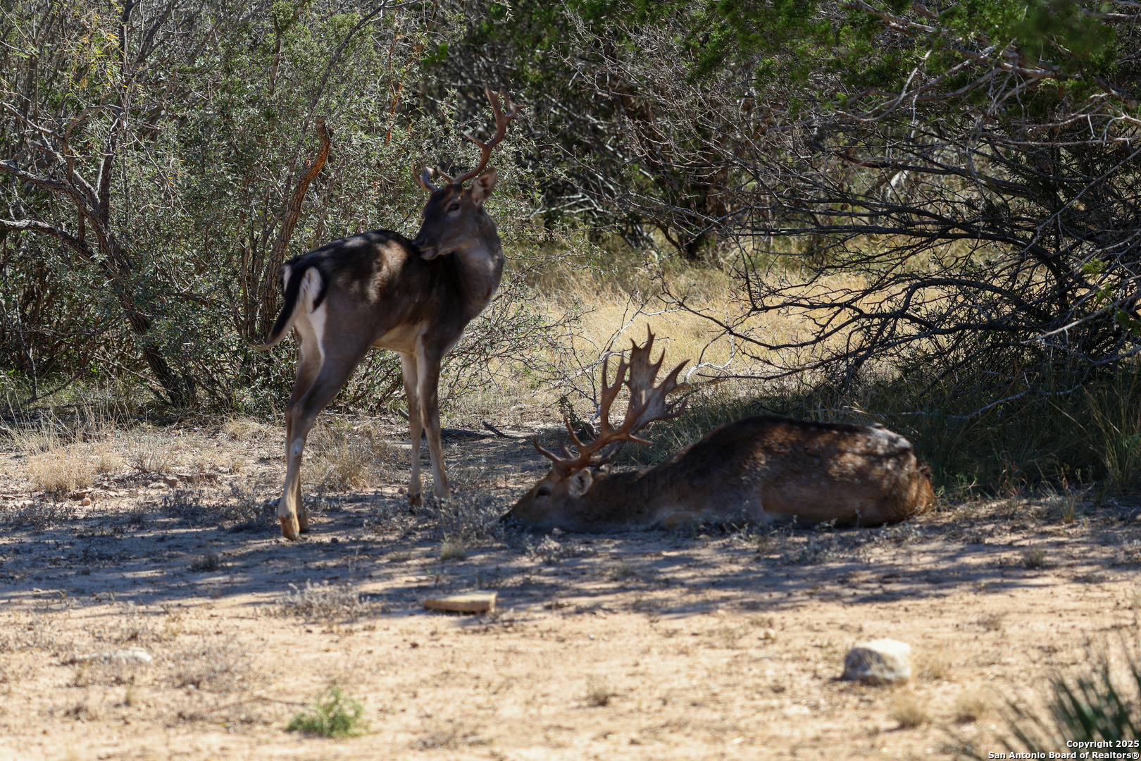 2356 Kc 314 Junction TX 76849