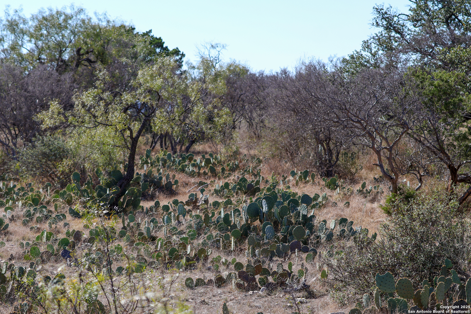 2356 Kc 314 Junction TX 76849