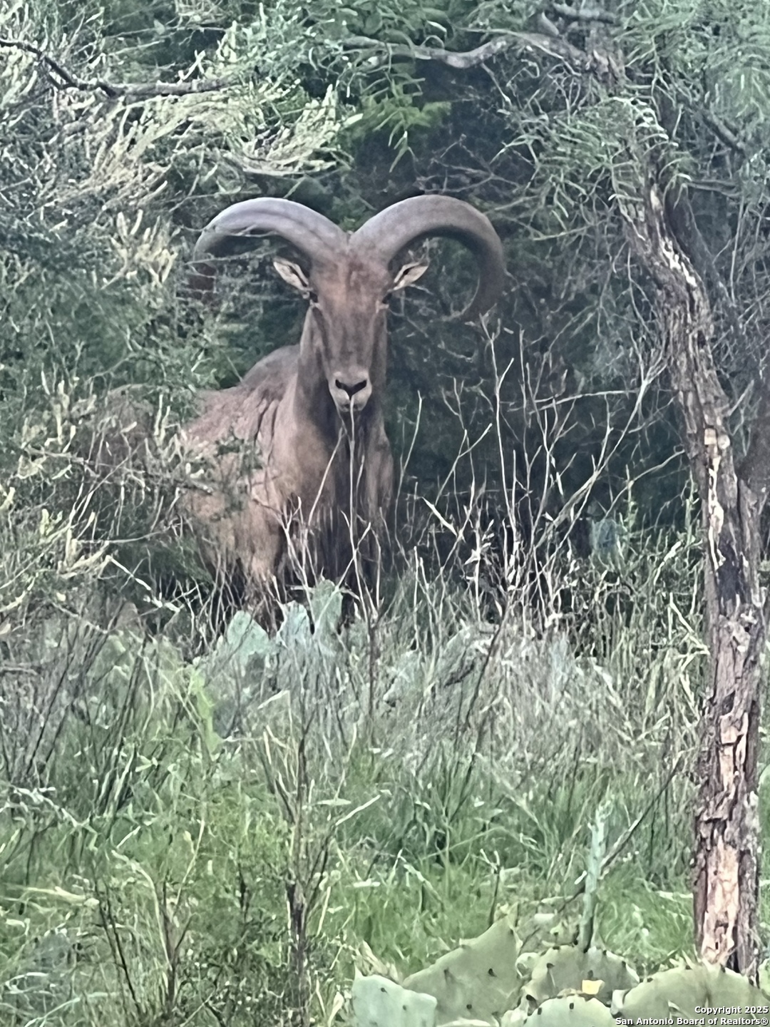 2356 Kc 314 Junction TX 76849