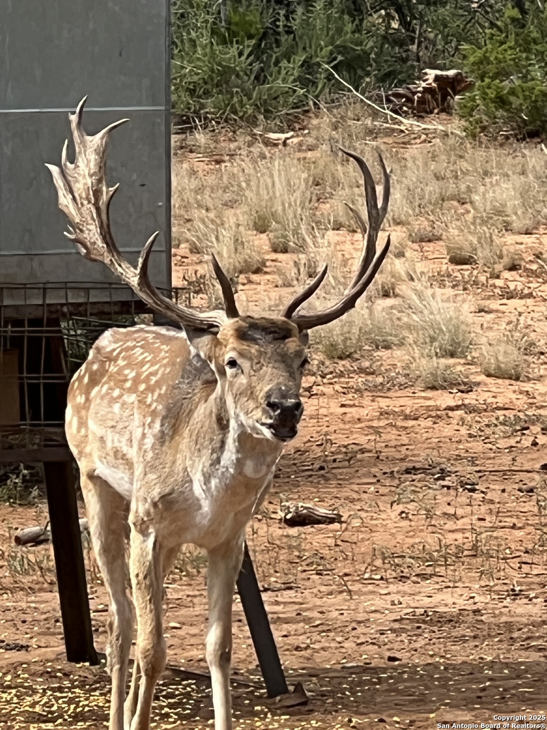 2356 Kc 314 Junction TX 76849