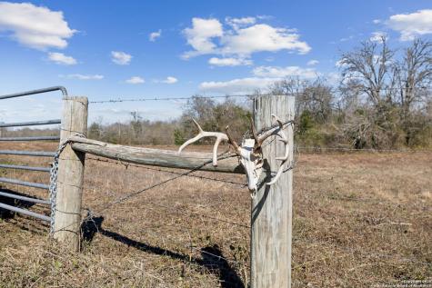3424 Post Oak Point New Ulm TX 78950