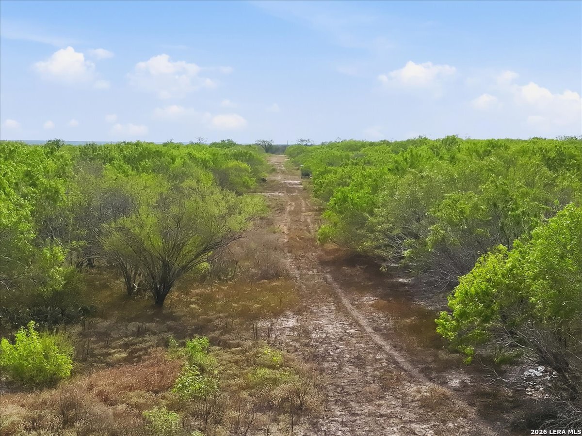 1991 S Highway 37 Access Three Rivers TX 78071