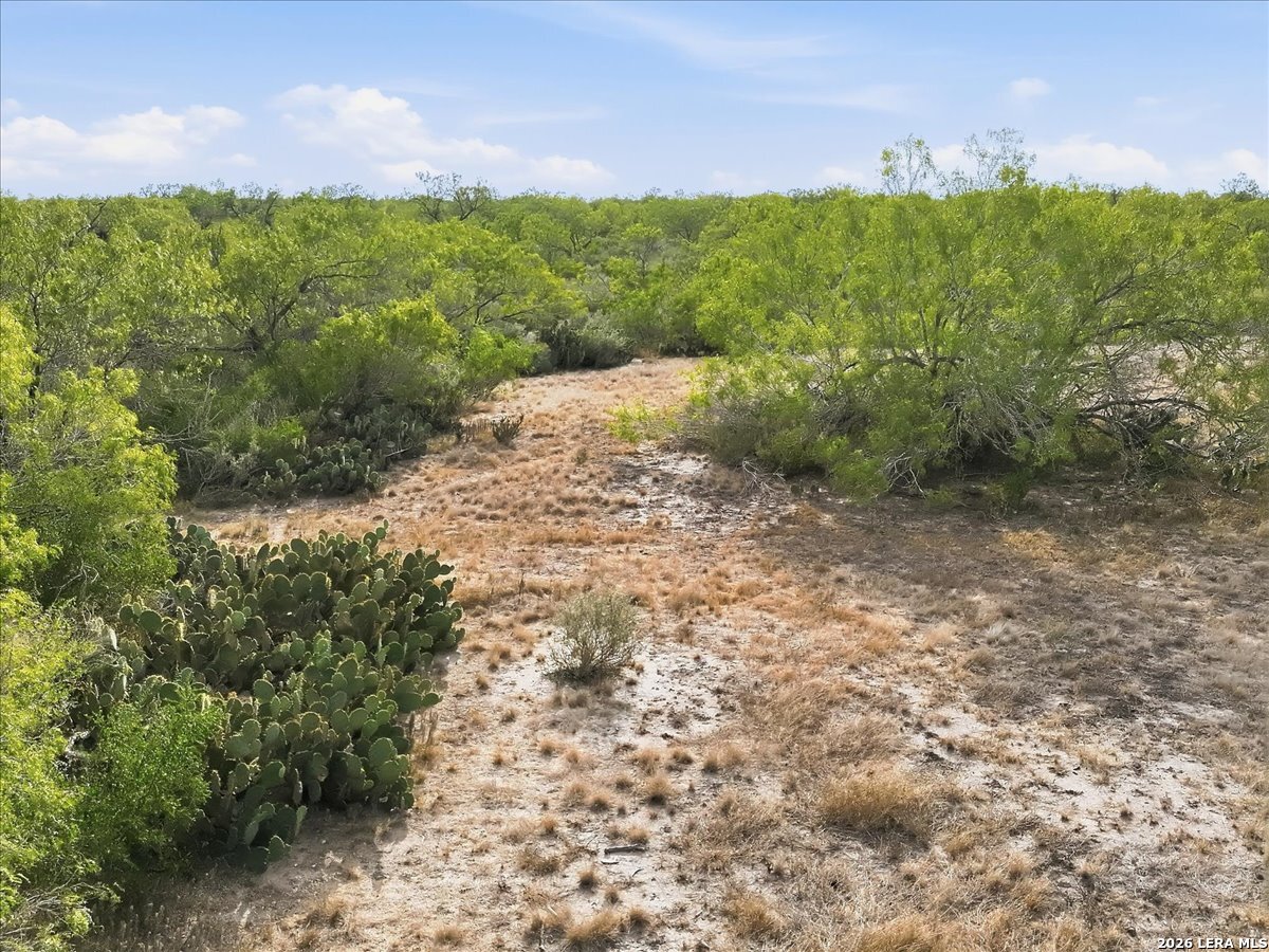 1991 S Highway 37 Access Three Rivers TX 78071