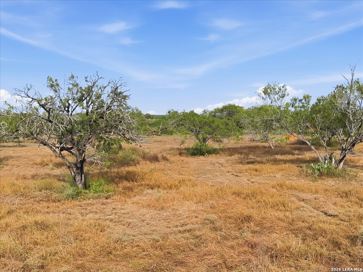 1991 S Highway 37 Access Three Rivers TX 78071