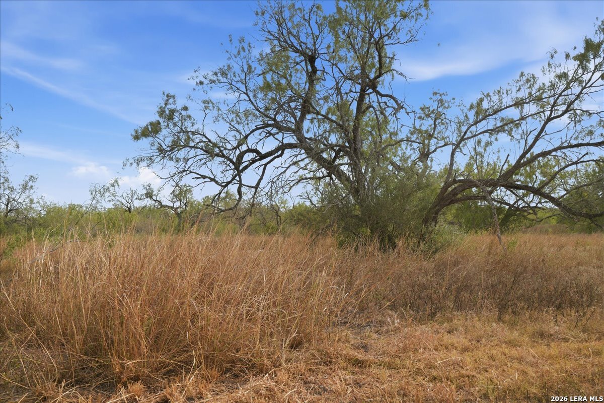 1991 S Highway 37 Access Three Rivers TX 78071