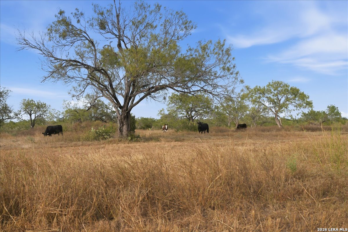 1991 S Highway 37 Access Three Rivers TX 78071