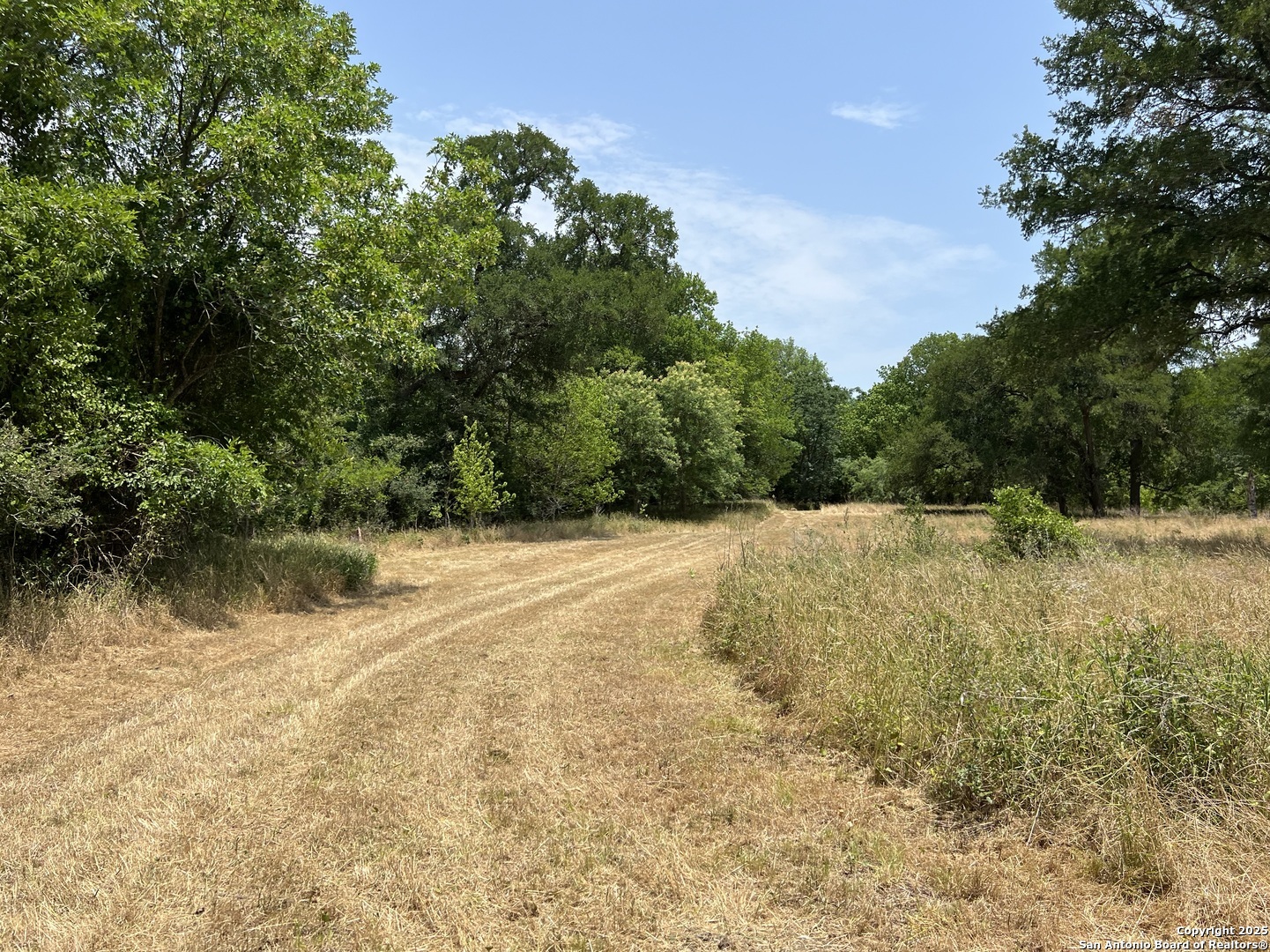 124 Valley Creek Cedar Creek TX 78612