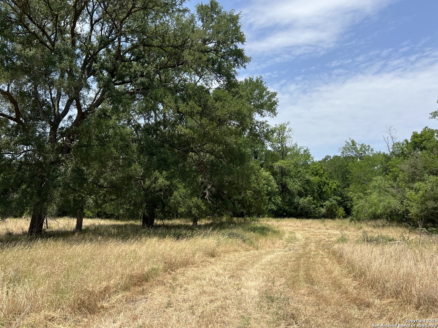 124 Valley Creek Cedar Creek TX 78612