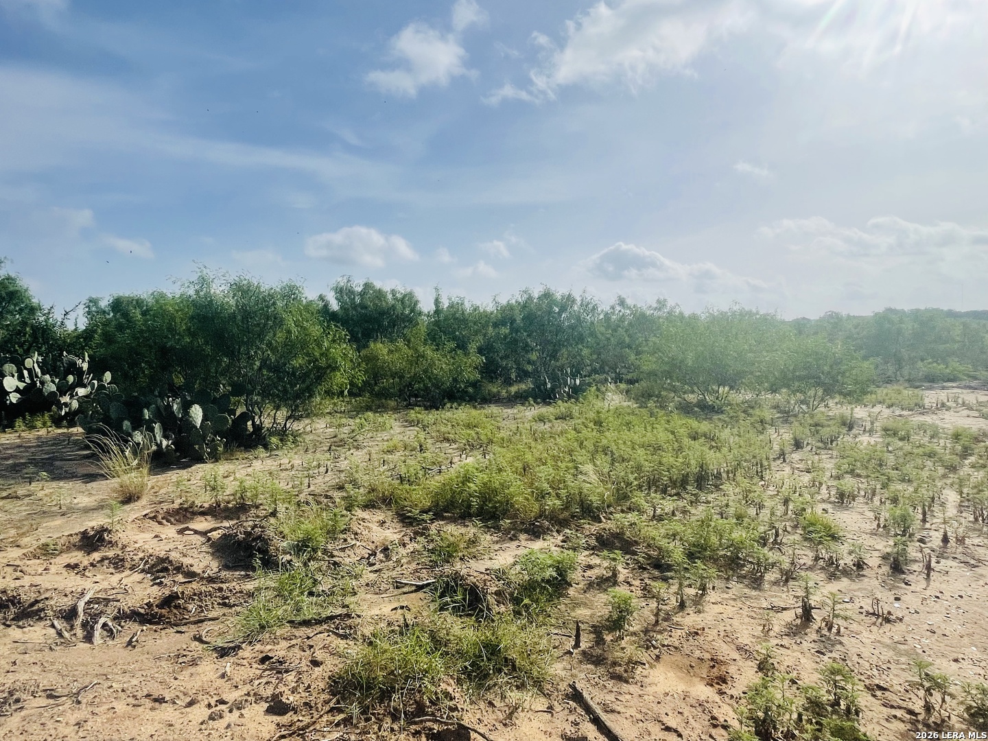 141 County Road 779 Devine TX 78016