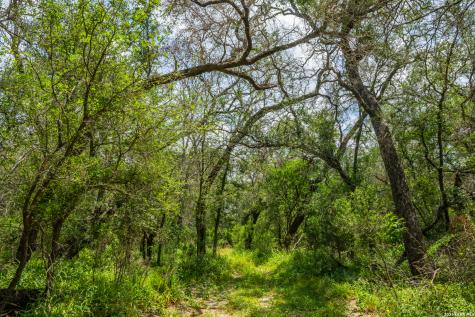 994 Marburger Crystal City TX 78839