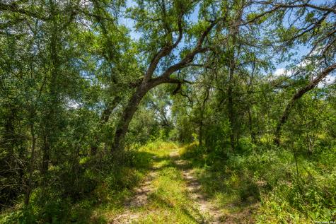994 Marburger Crystal City TX 78839