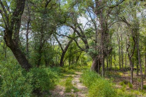 994 Marburger Crystal City TX 78839