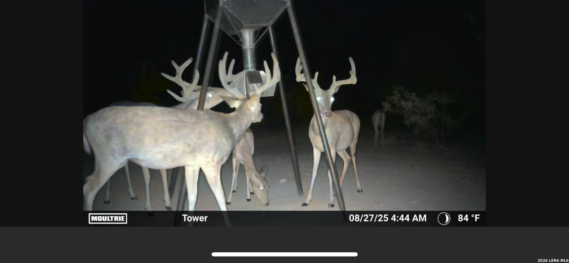 994 Marburger Crystal City TX 78839