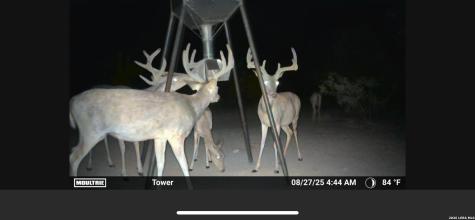 994 Marburger Crystal City TX 78839