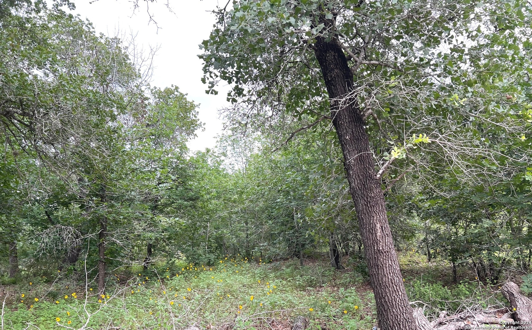 606 Sherrywood Lane San Antonio TX 78264