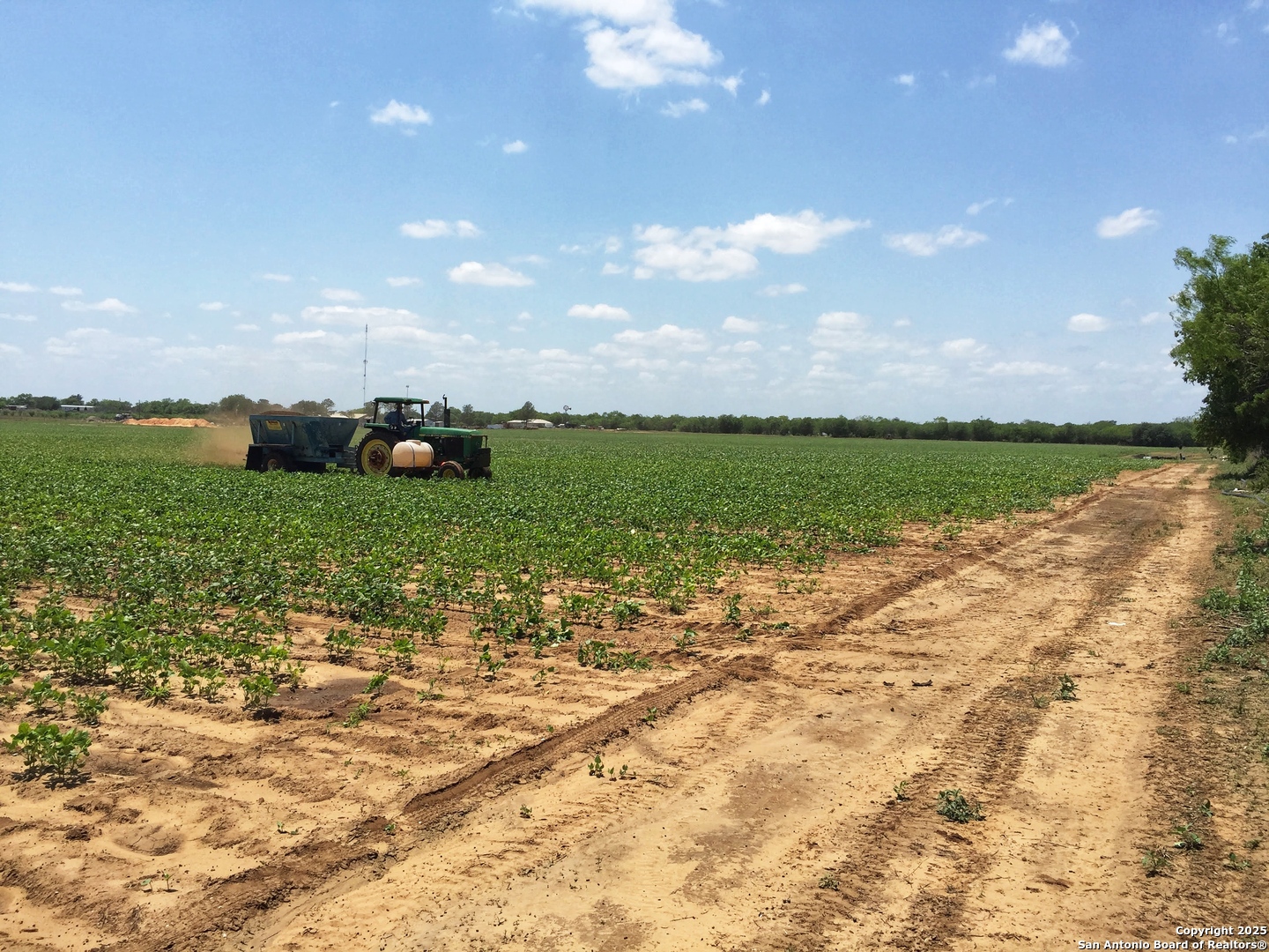 304 County Road 6611 Devine TX 78016