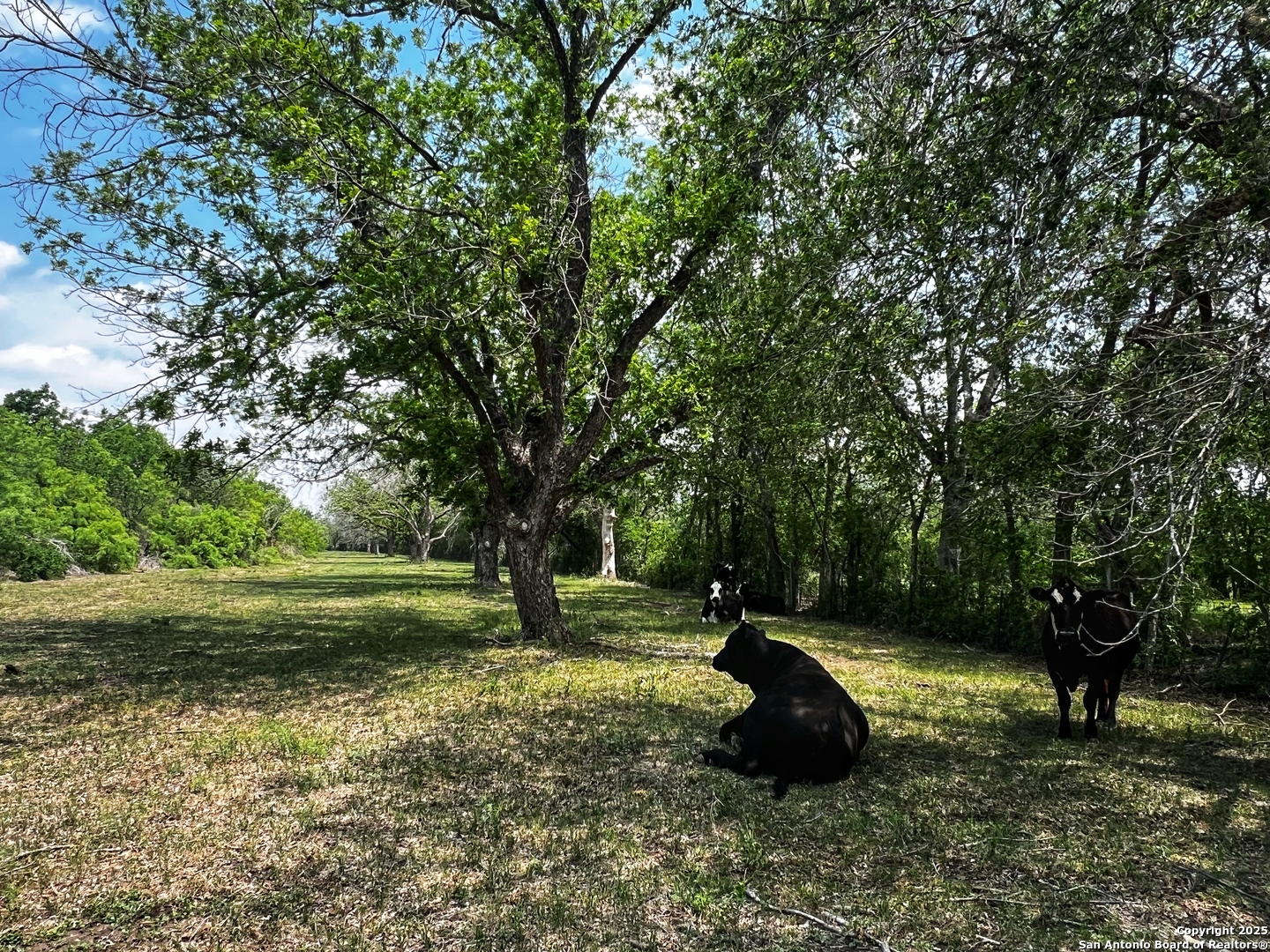 304 County Road 6611 Devine TX 78016