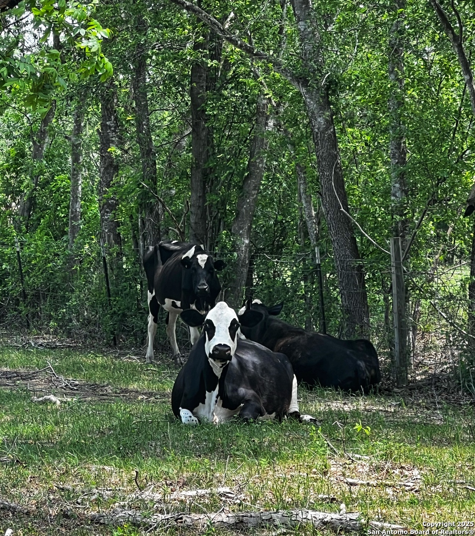 304 County Road 6611 Devine TX 78016