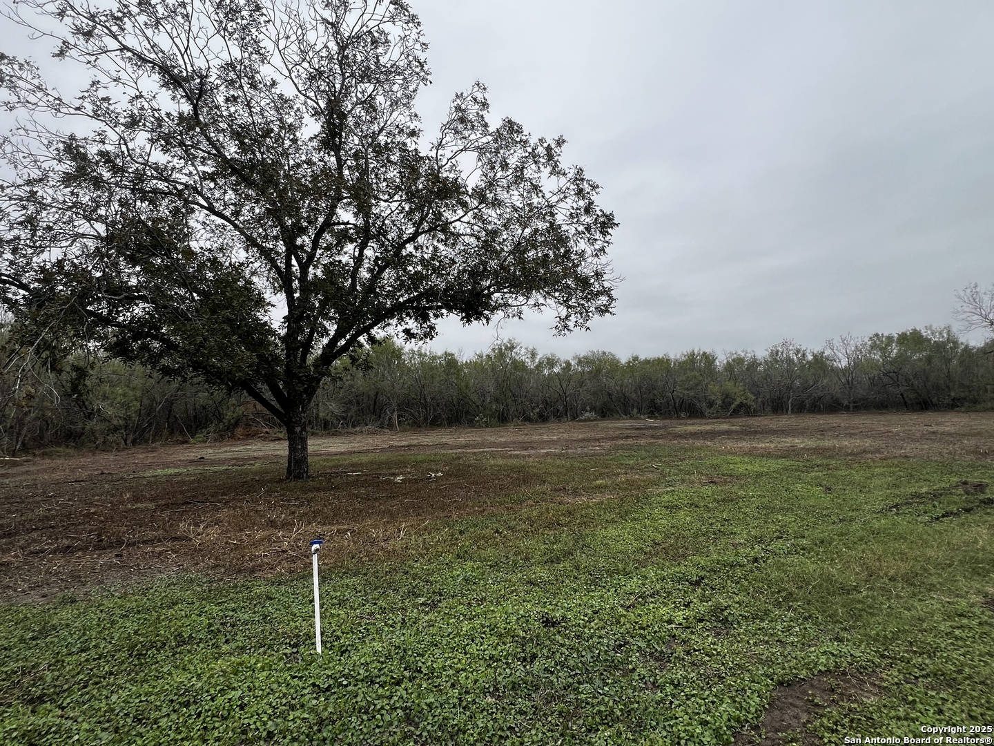304 County Road 6611 Devine TX 78016