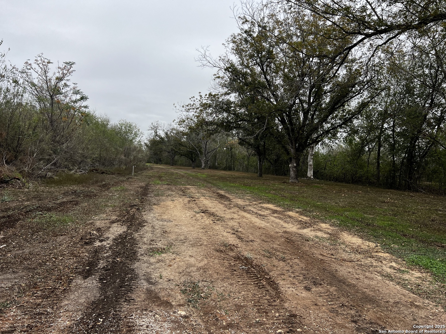 304 County Road 6611 Devine TX 78016