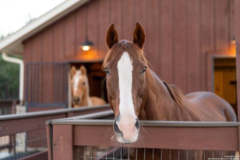 1043 Twin River Canyon Lake TX 78133