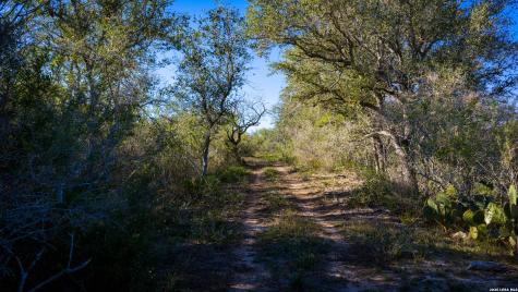 7869 County Road 203 Beeville TX 78102