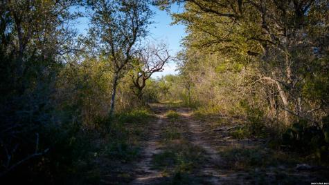7869 County Road 203 Beeville TX 78102