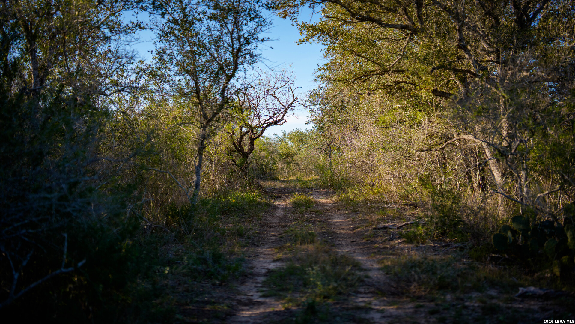 7869 County Road 203 Beeville TX 78102