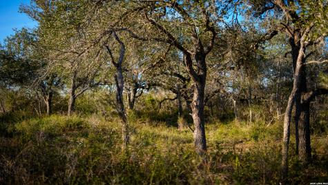 7869 County Road 203 Beeville TX 78102