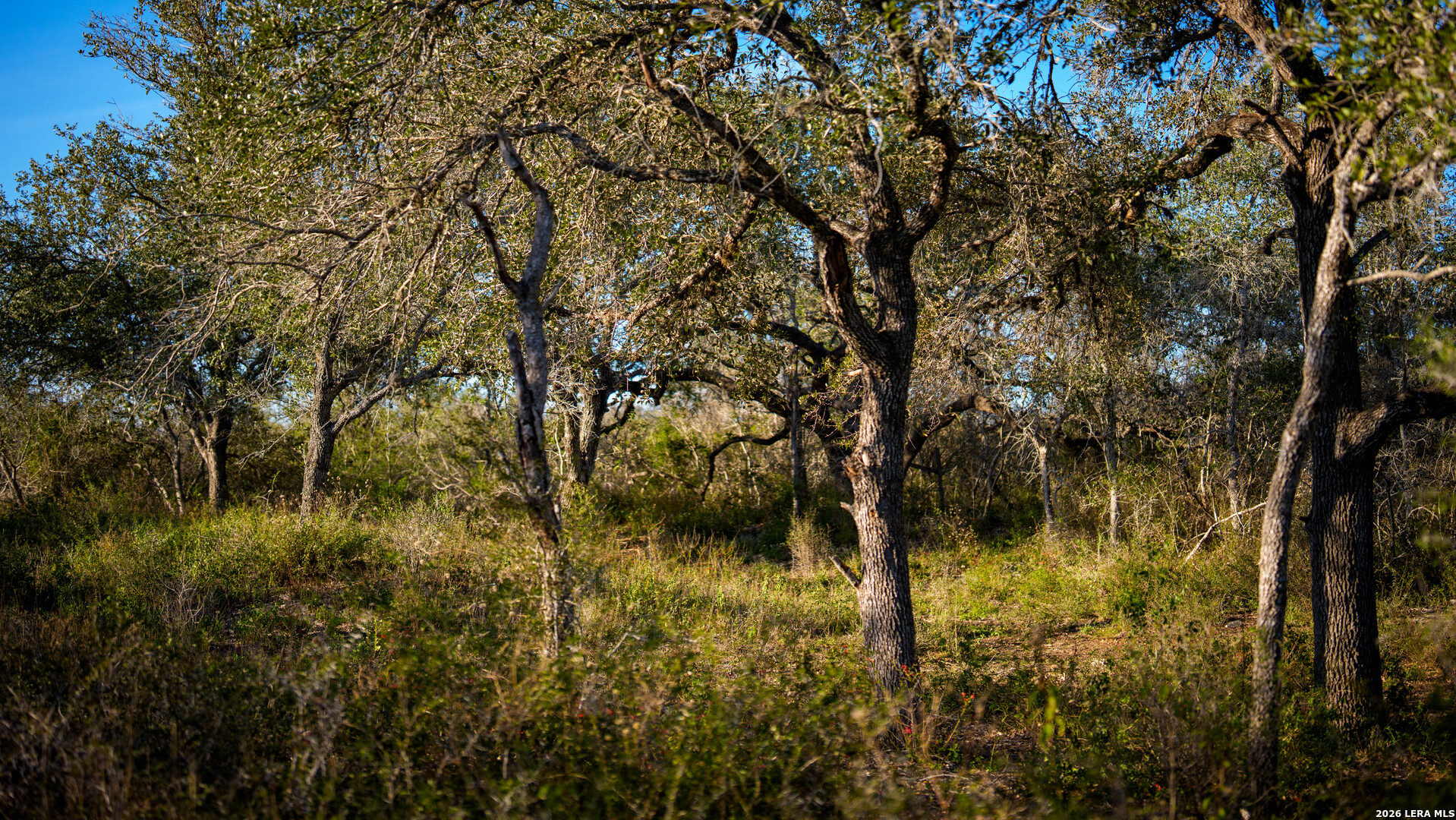 7869 County Road 203 Beeville TX 78102