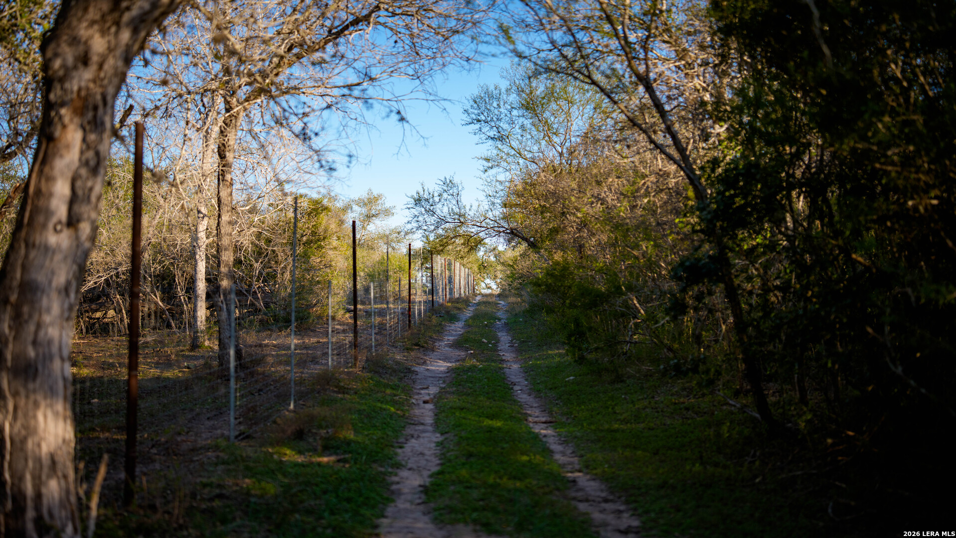 7869 County Road 203 Beeville TX 78102