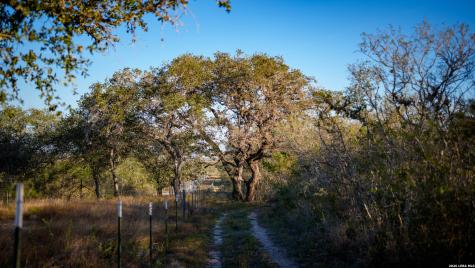 7869 County Road 203 Beeville TX 78102