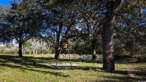 7869 County Road 203 Beeville TX 78102