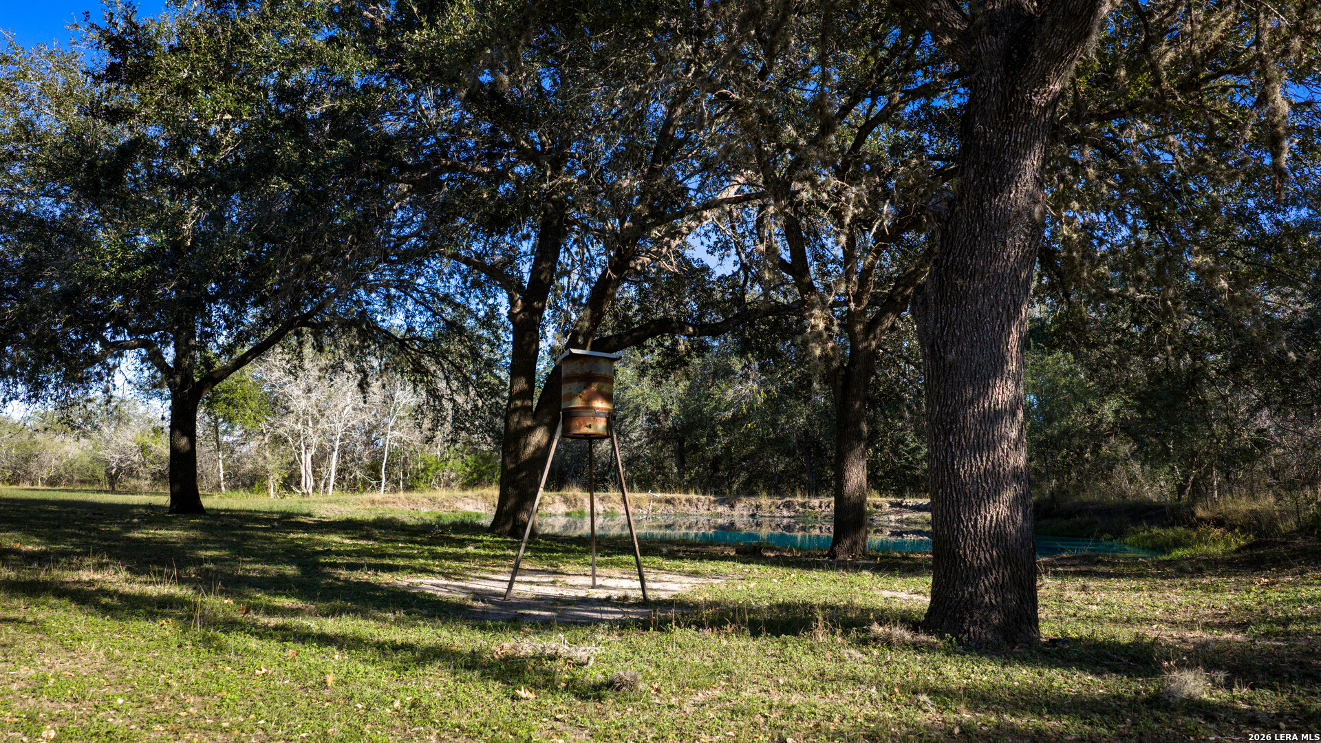 7869 County Road 203 Beeville TX 78102