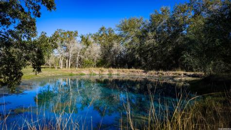 7869 County Road 203 Beeville TX 78102