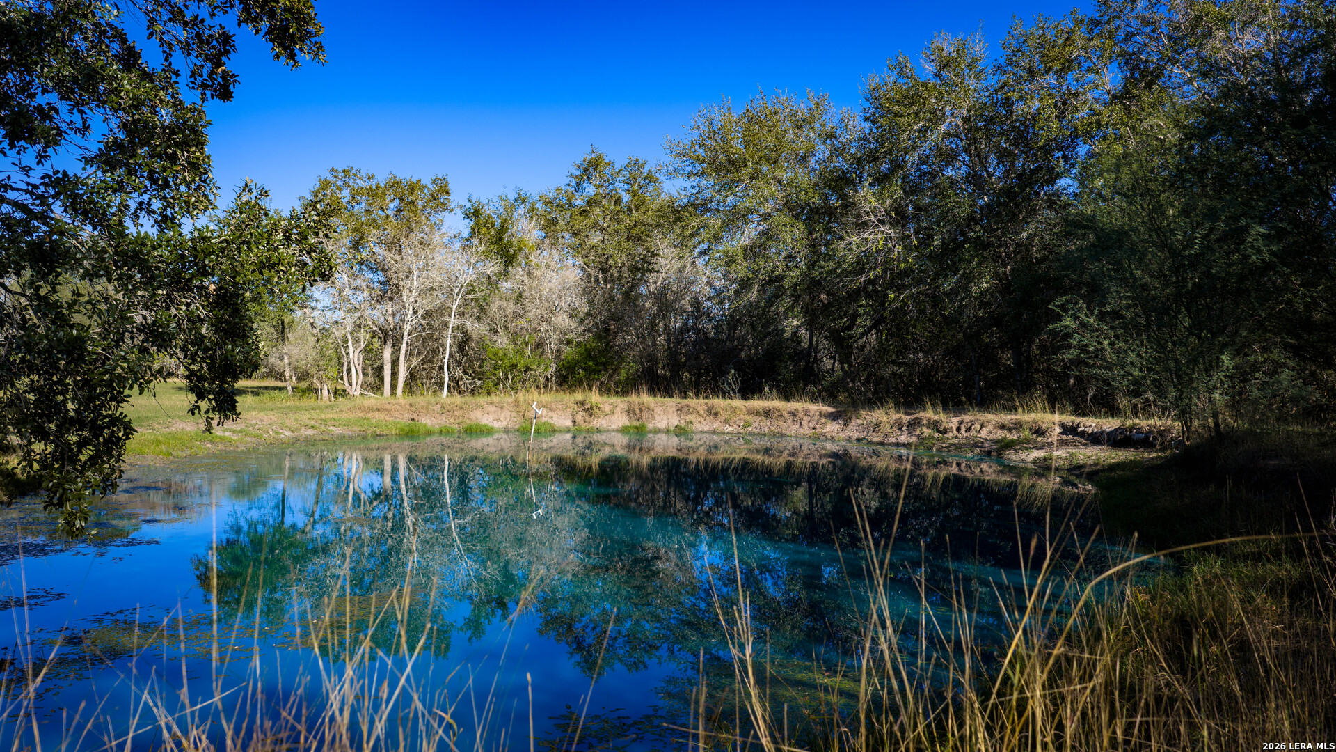 7869 County Road 203 Beeville TX 78102