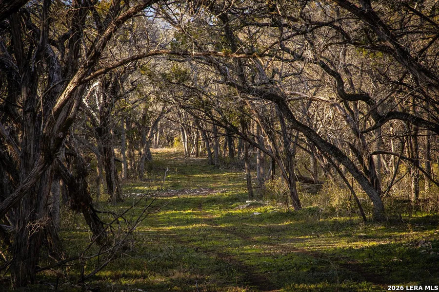 000 Hueco Springs Loop Road New Braunfels TX 78132