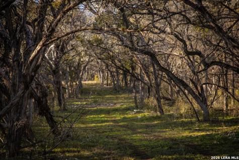 000 Hueco Springs Loop Road New Braunfels TX 78132