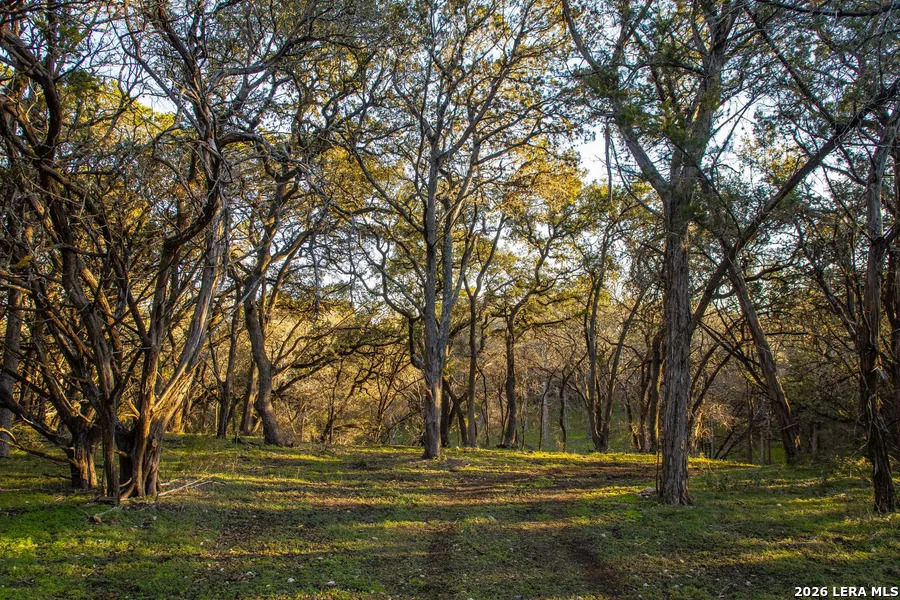 000 Hueco Springs Loop Road New Braunfels TX 78132