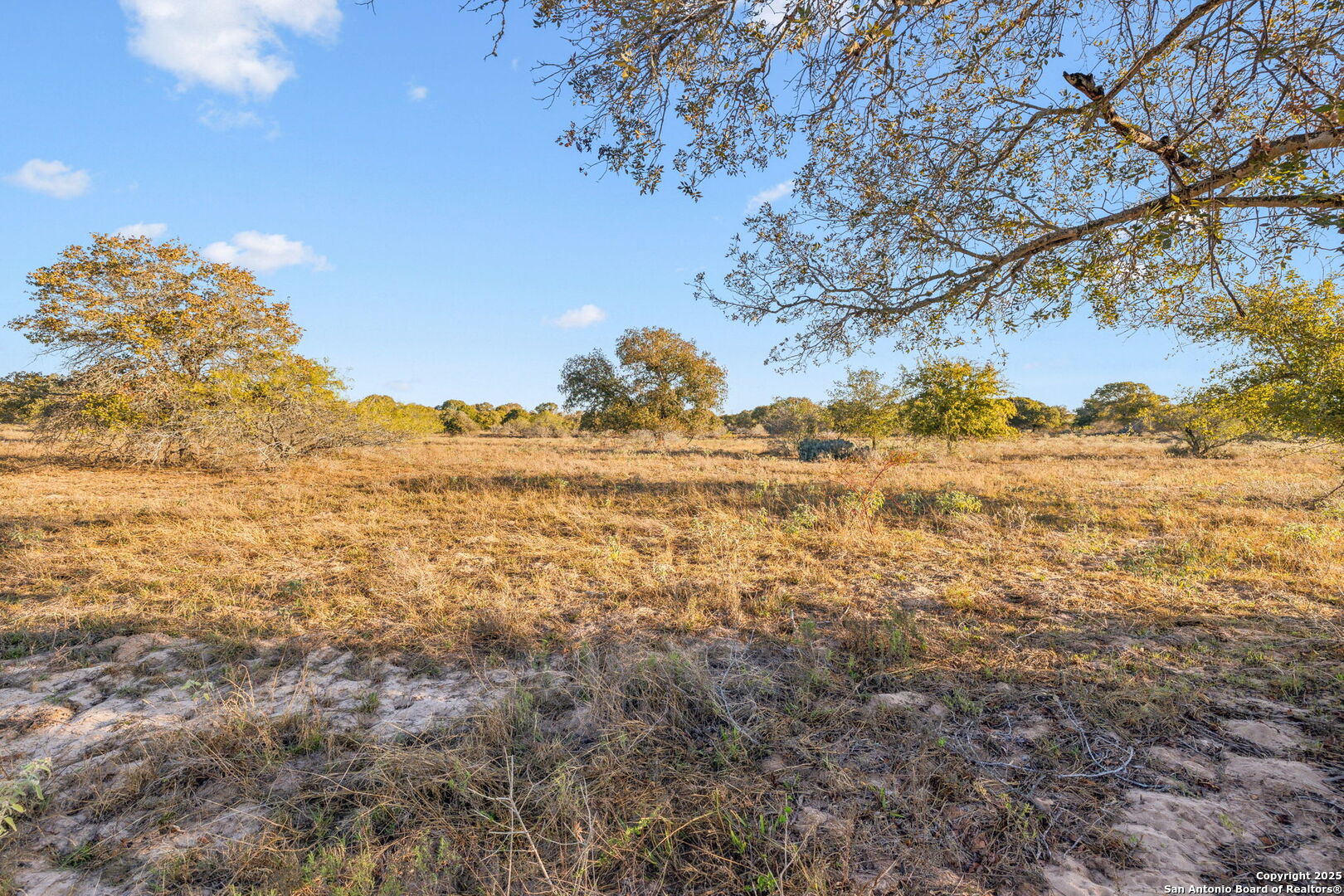 25743 Campbellton Road San Antonio TX 78264