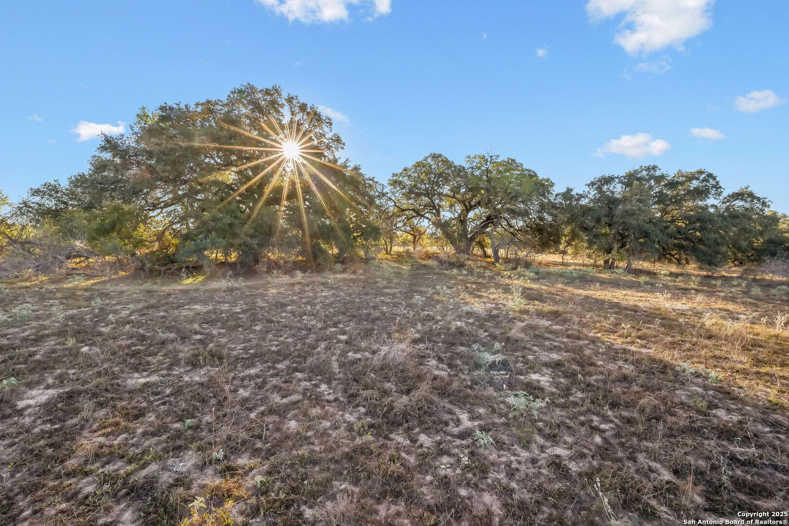 25743 Campbellton Road San Antonio TX 78264