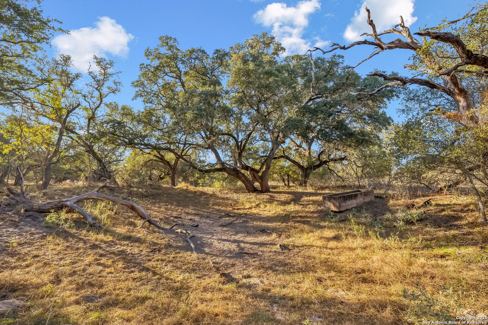 25743 Campbellton Road San Antonio TX 78264