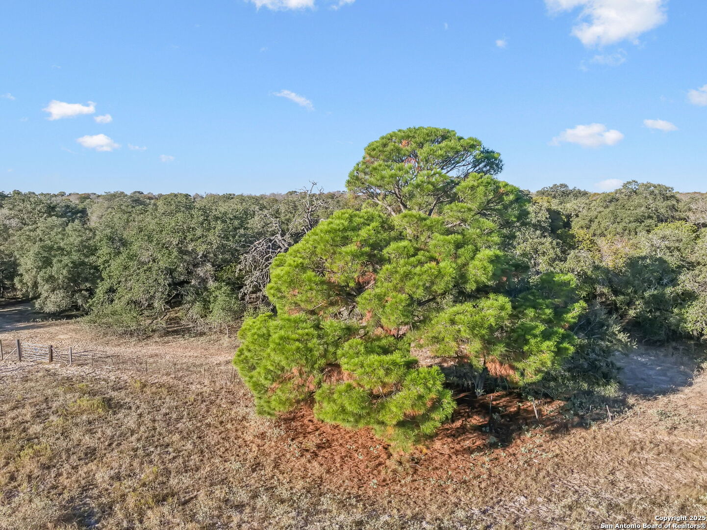 25743 Campbellton Road San Antonio TX 78264