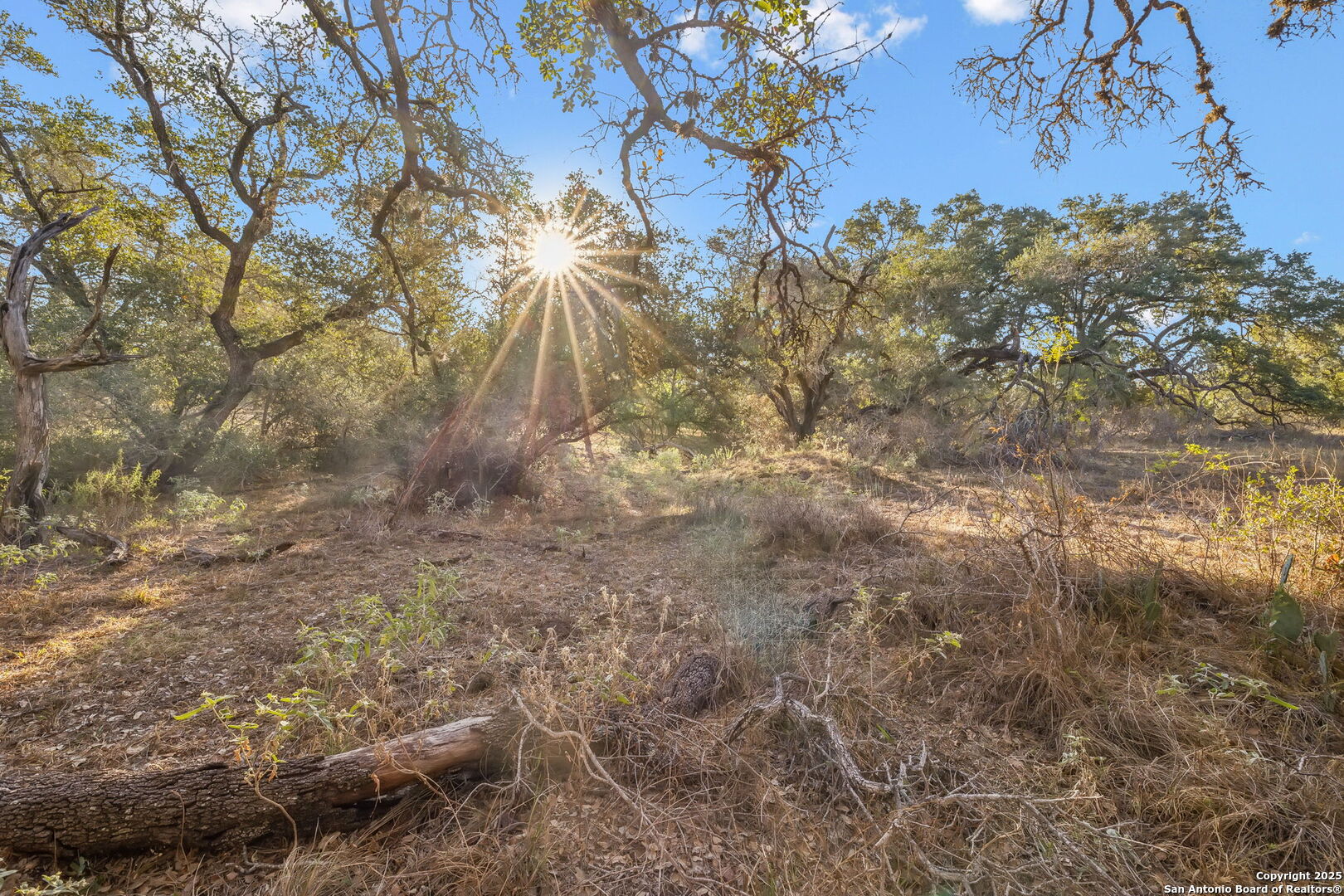 25743 Campbellton Road San Antonio TX 78264