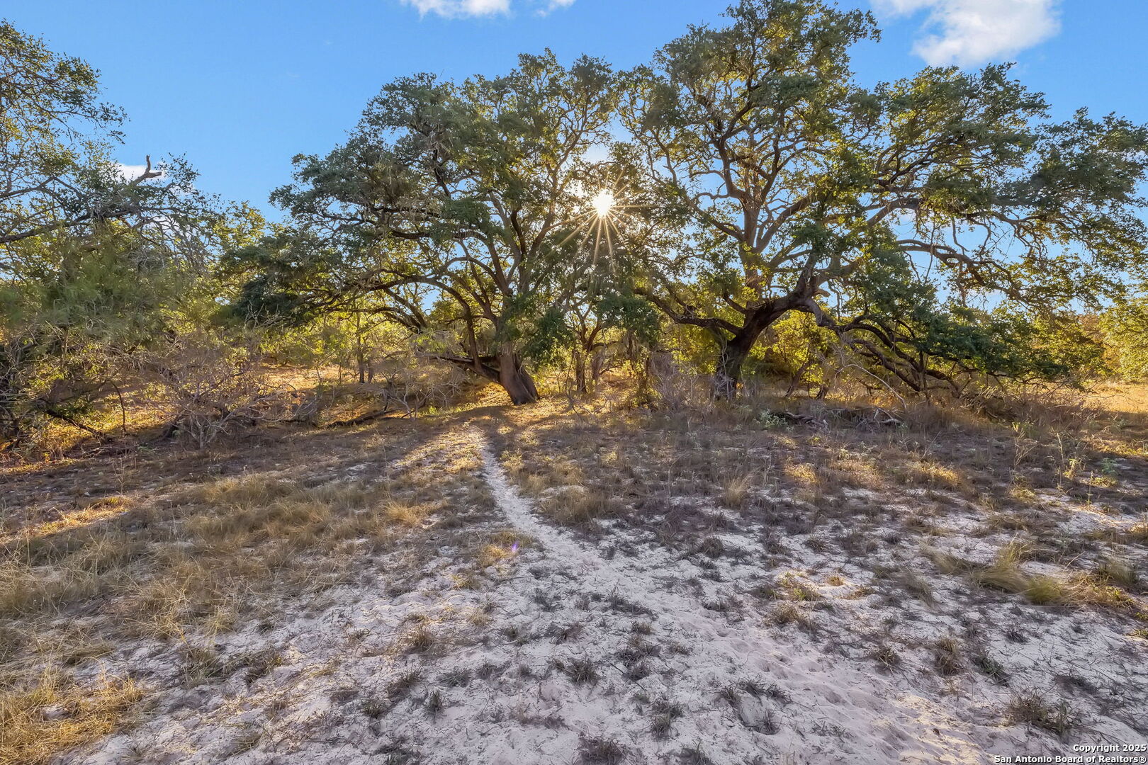 25743 Campbellton Road San Antonio TX 78264