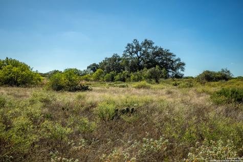 21123 Lamm Road Elmendorf TX 78112