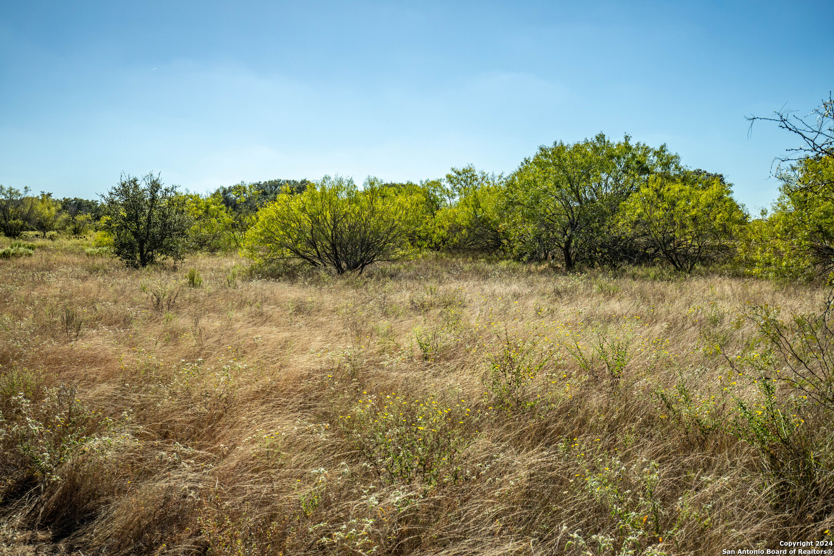 21123 Lamm Road Elmendorf TX 78112