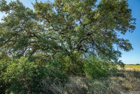 21123 Lamm Road Elmendorf TX 78112